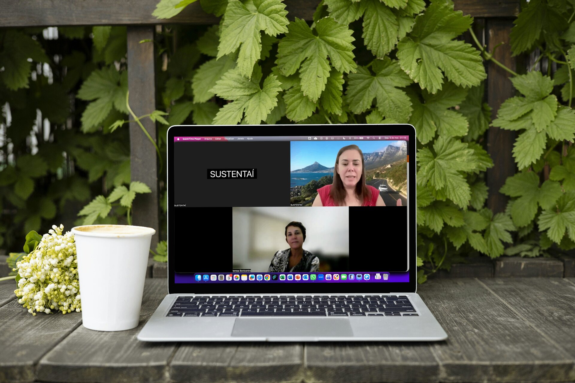 Sessão de mentoria online do Divã da Sustentabilidade